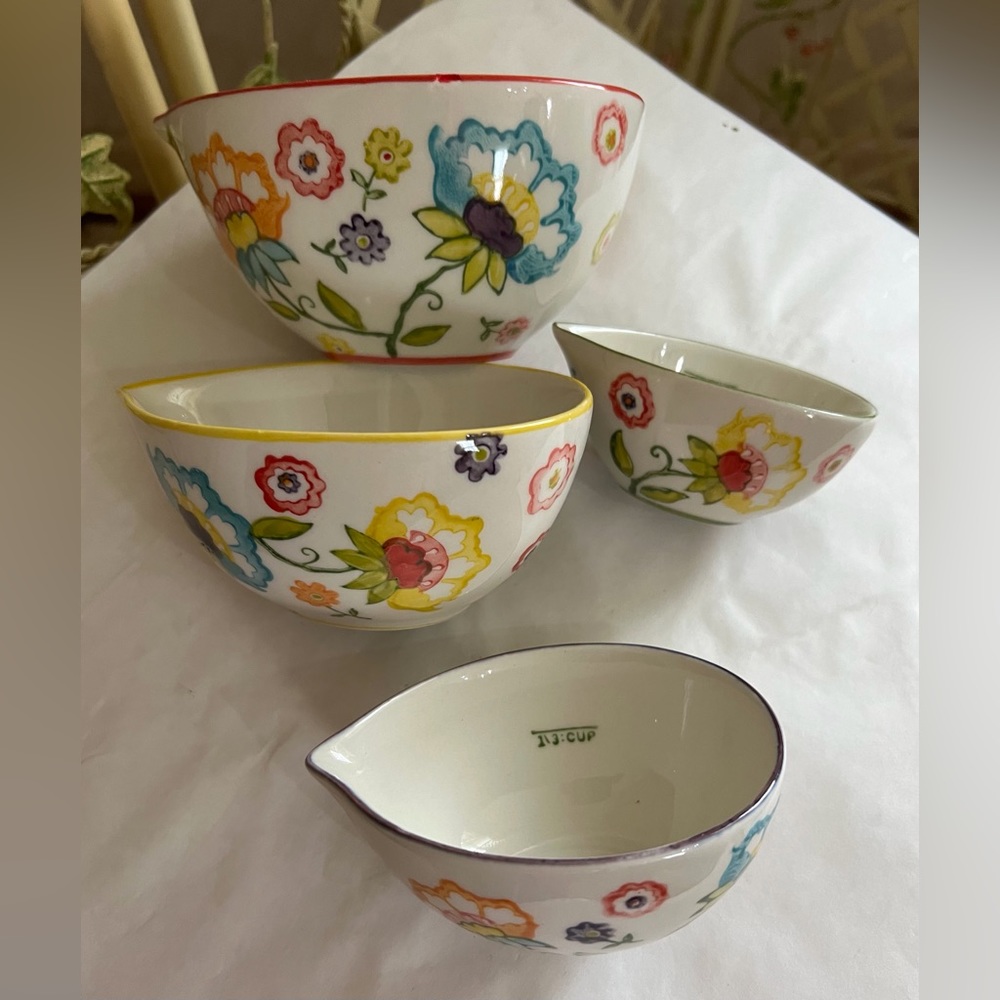 Hand Painted Stoneware Measuring Cups by Pier 1